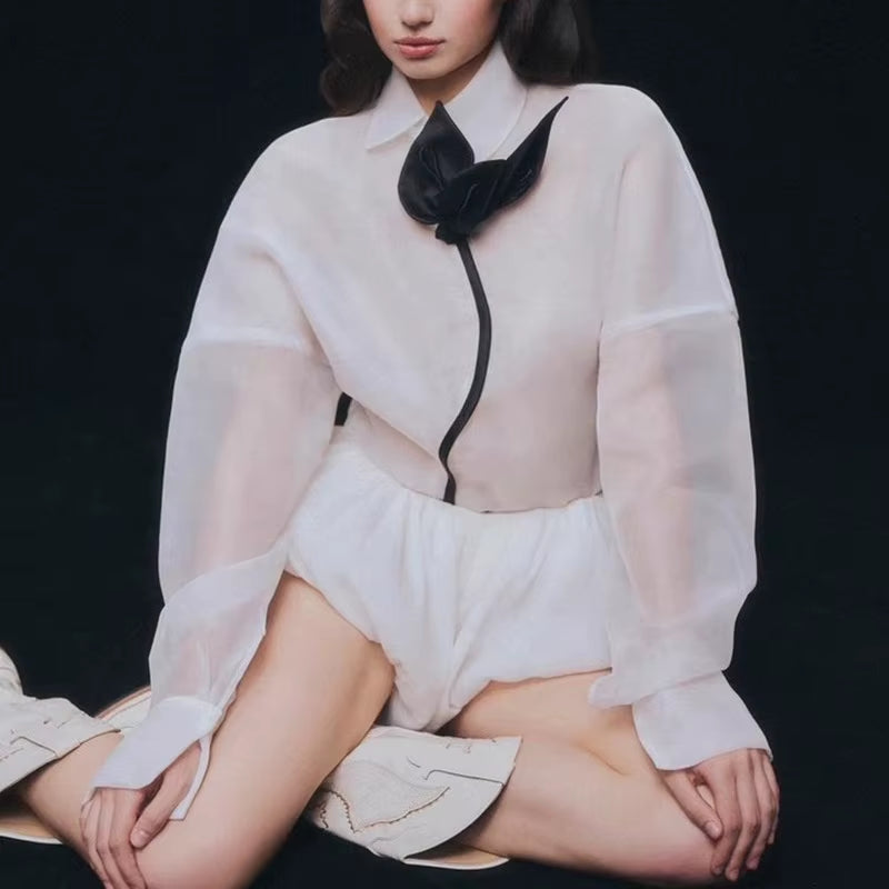 OUDINA Boutique Sweet Style See through Lantern Sleeve Casual Elegant Loose Tops and Blouses Shirts for Women