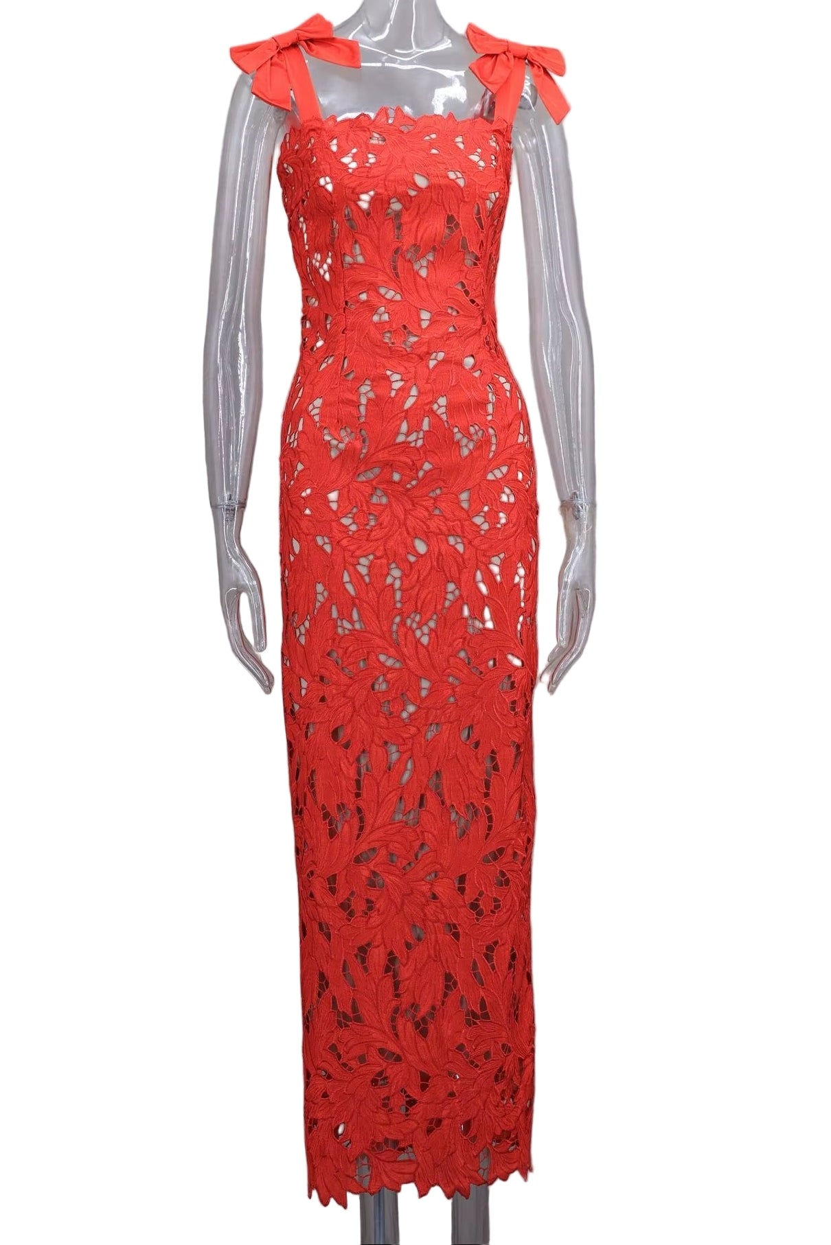 Crimson Enchanté Lace Gown - A Stunning Blend of Elegance and Allure